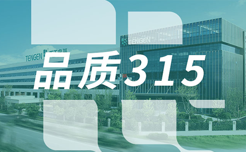 品质315，尖东老泥妹之四大天王国语版树立断路器品控标杆